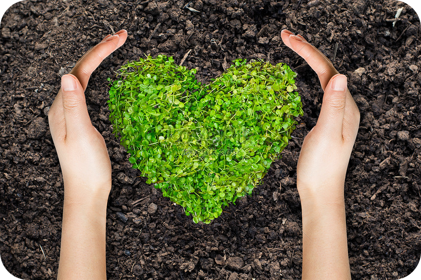 Imagen de bienvenida